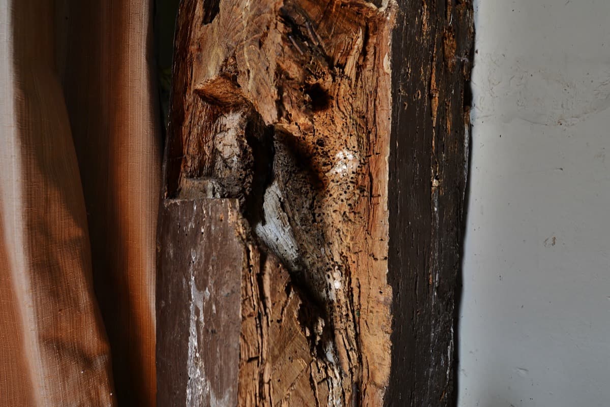 Timber Treatment